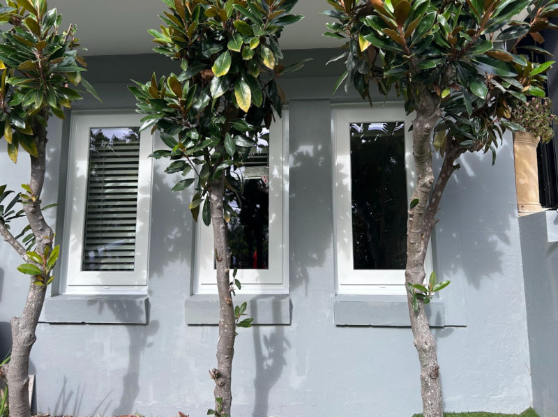White Sash Windows